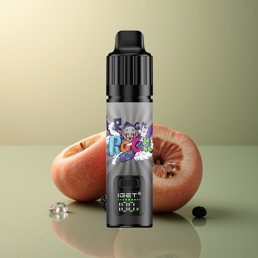 IGET BAR PLUS S3 POD 10000 Puffs Baie Noire Glacée 5% Nicotine 950 mAh