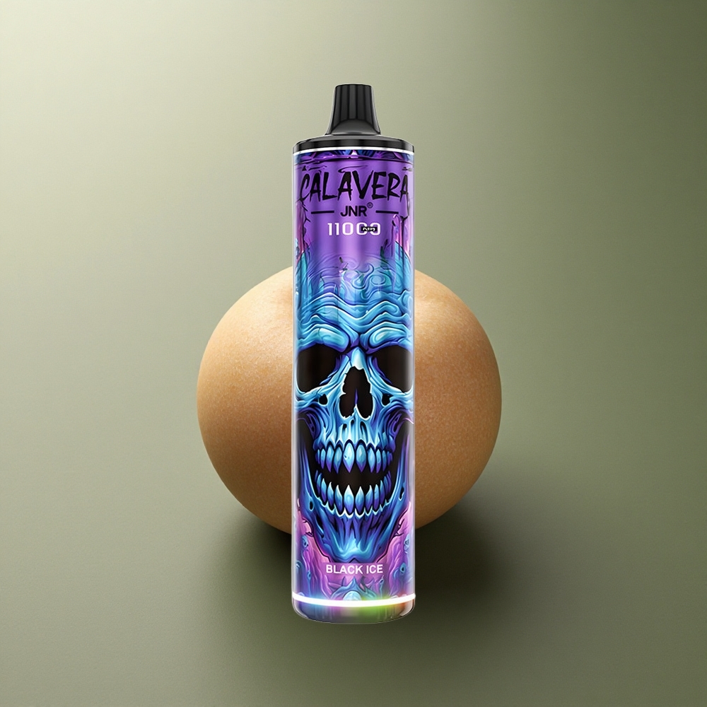 JNR Calavera 11000 Glace Noire Type-C 850mAh 21ml
