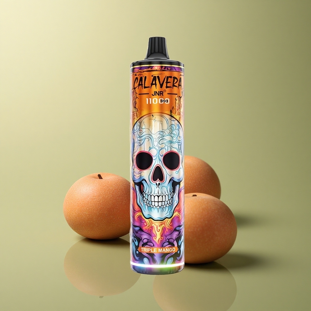 JNR Calavera 11000 Triple Mangue Chargement Type-C 850 mAh 21ml