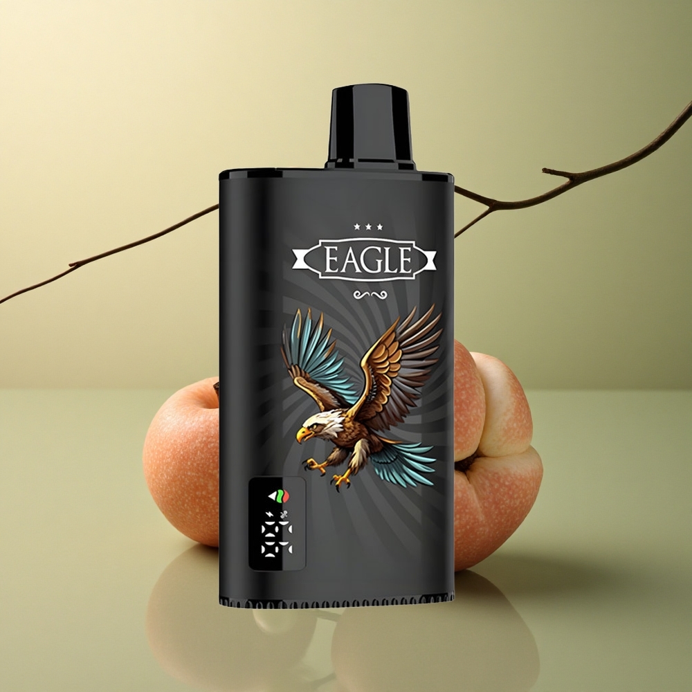 JNR EAGLE Smart 23000 Baies Mixtes avec Écran Numérique et Batterie 750mAh