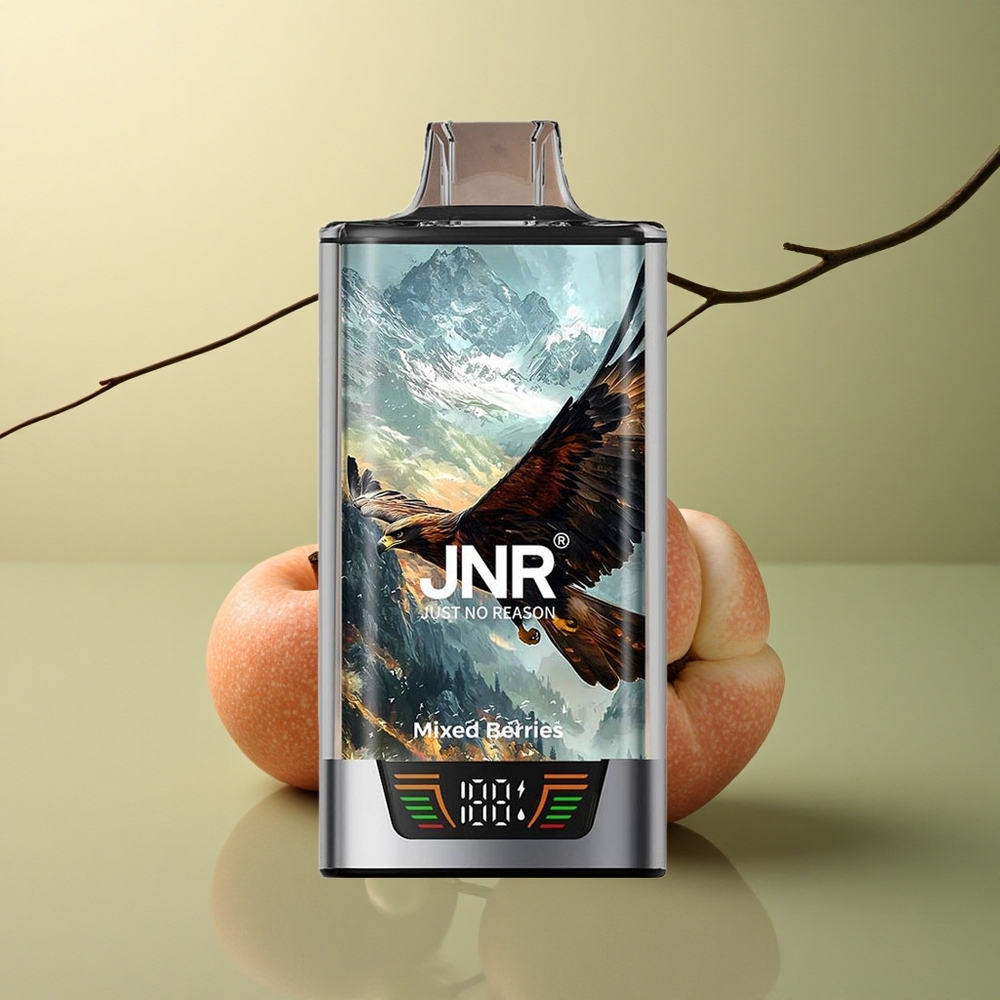 JNR Falcon Pro 28000 Baies Mixtes Dual Mesh 950mAh 5% Nicotine