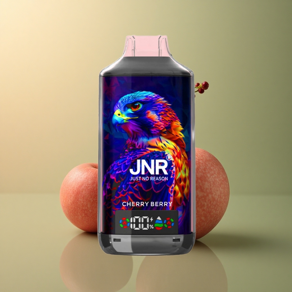 JNR Falcon X 18000 Baie Cerise 750mAh 24ml Dual Mesh Coil Nicotine 0%2%5%