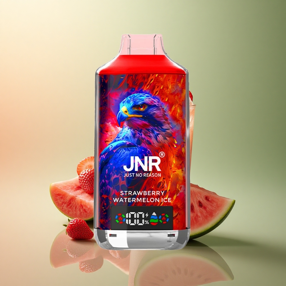 JNR Falcon X 18000 Fraise Pastèque Glacée 750mAh 24ml Dual Mesh