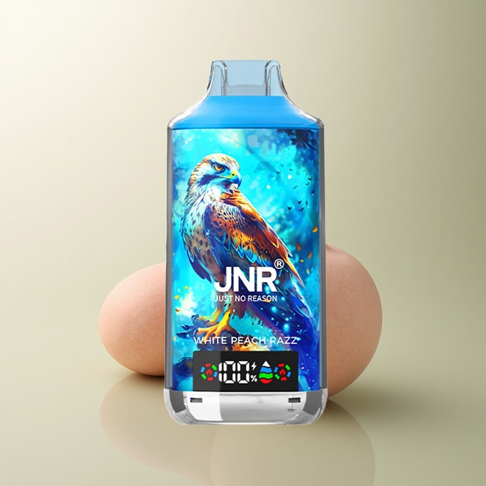 JNR Falcon X 18000 Pêche Blanche Framboisée 24ml 750mAh Dual Mesh