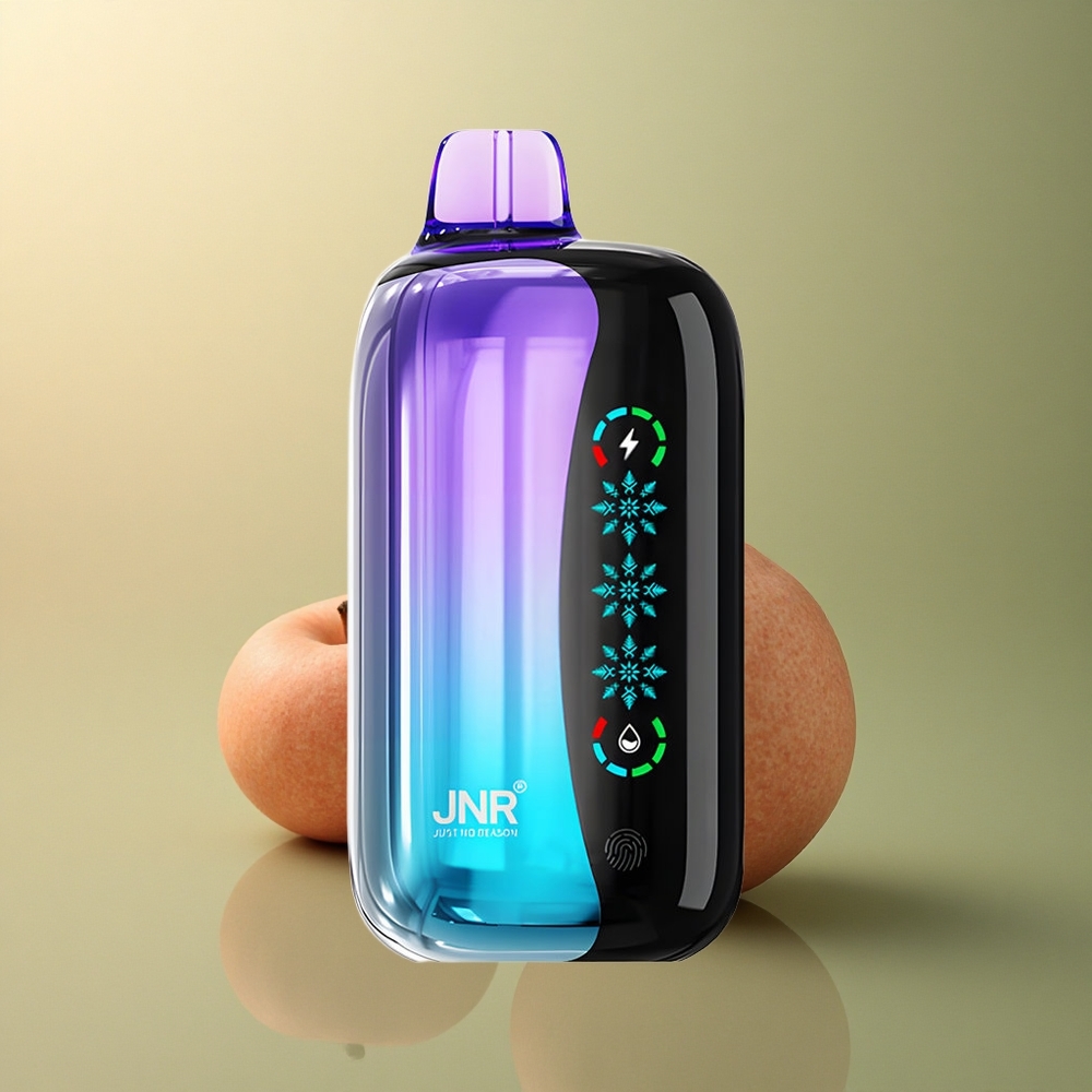 JNR Flex Ice 21000 Baies Mixtes Glacées Réglables 1000mAh Dual Mesh
