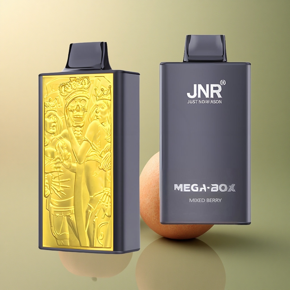 JNR Mega Box 25000 Baie Mixte 850mAh Dual Mesh