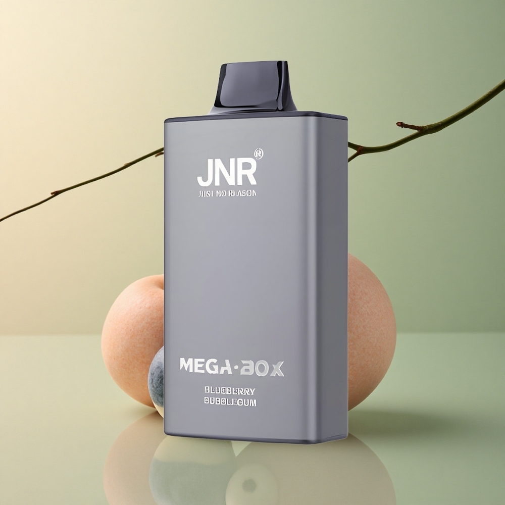 JNR Mega Box 25000 Bubblegum Myrtille Dual Mesh 850mAh 2% Nicotine
