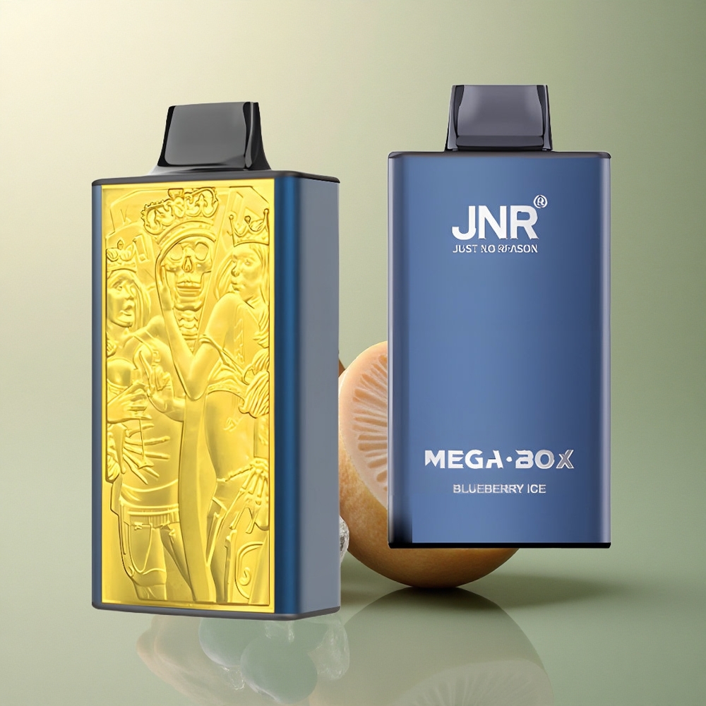 JNR Mega Box 25000 Glace Myrtille Dual Mesh 850mAh 2% Nicotine