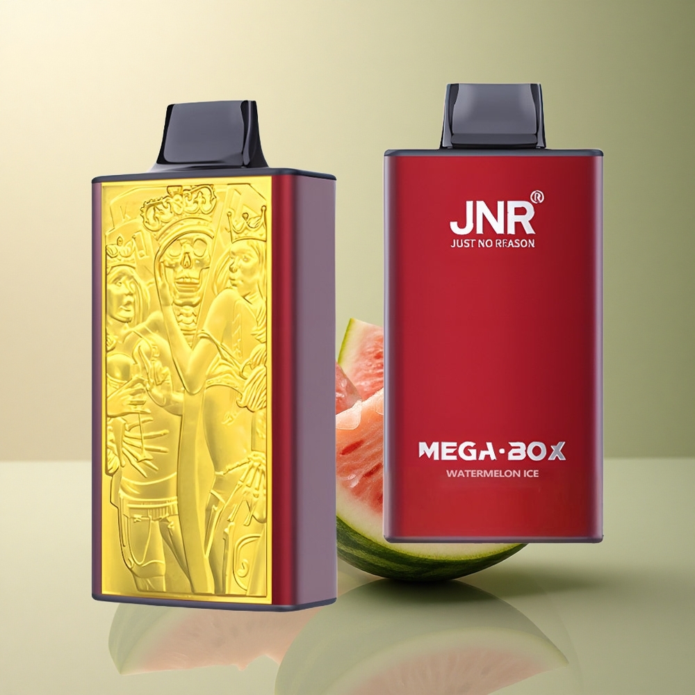 JNR Mega Box 25000 Glace à la Pastèque Dual Mesh 850mAh