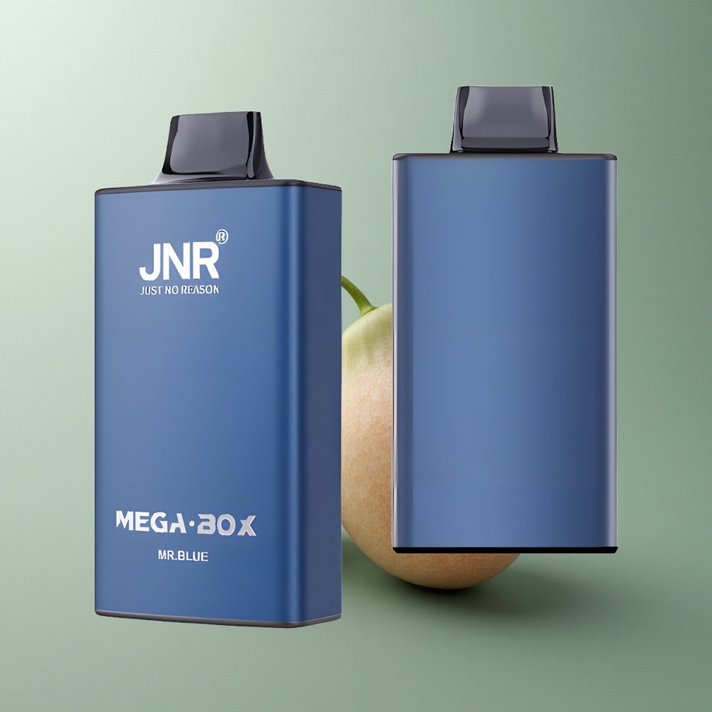 JNR Mega Box 25000 Monsieur Bleu 30ml 850mAh Double Mesh