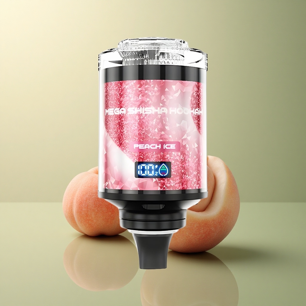 JNR Mega Shisha Hookah 100K Glace Pêche 2200mAh 60ml