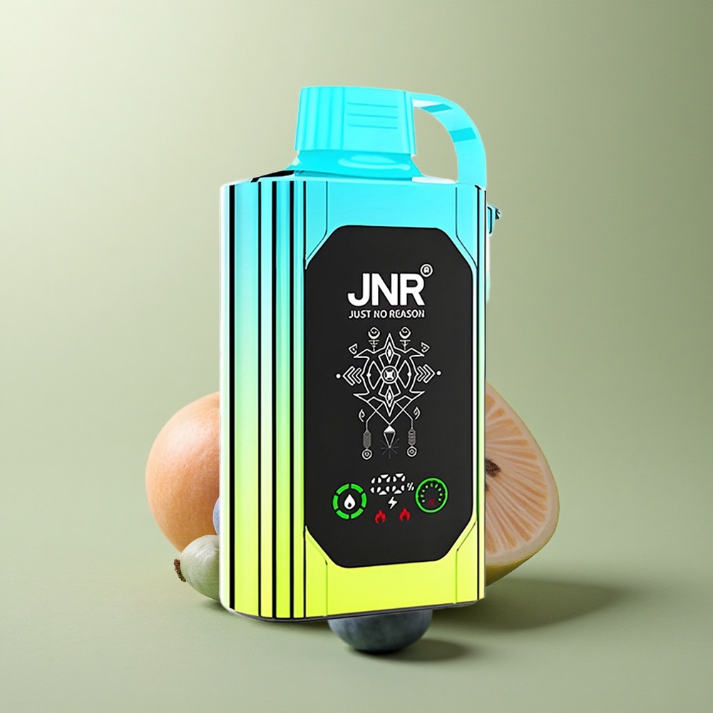 JNR Shisha Hookah Box 20500 Menthe Myrtille HD Affichage 1000mAh Double Bobine