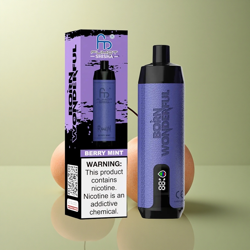 RandM Fumot Shisha 10000 Puffs Menthe Baie avec 0,5% nicotine et batterie 850 mAh