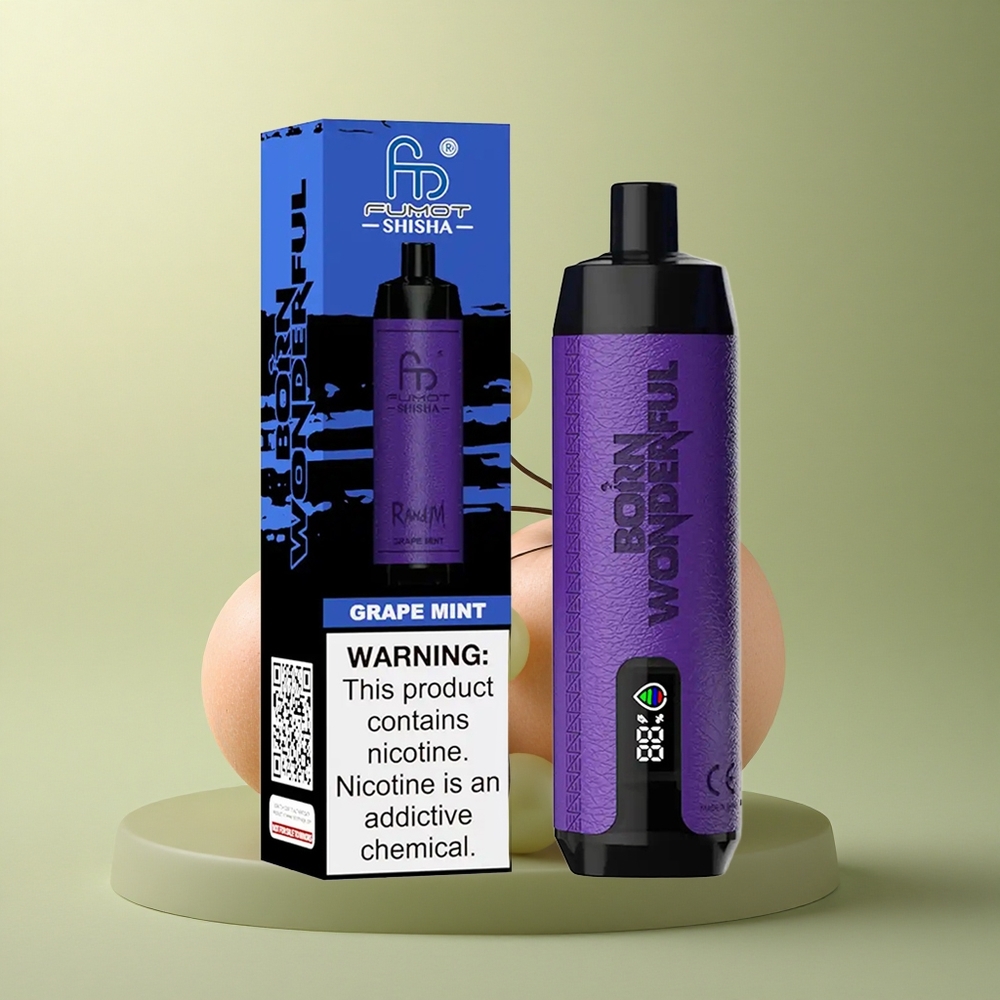 RandM Fumot Shisha 10000 Puffs Menthe Raisinée avec LED et 0,5% Nicotine