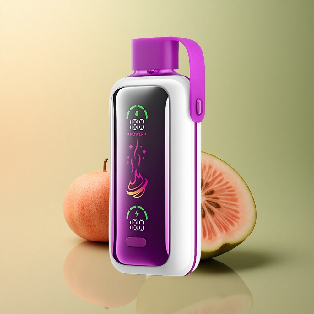 VOZOL Star 20000 Puffs Pêche Mangue Pastèque Dual Mesh 650mAh