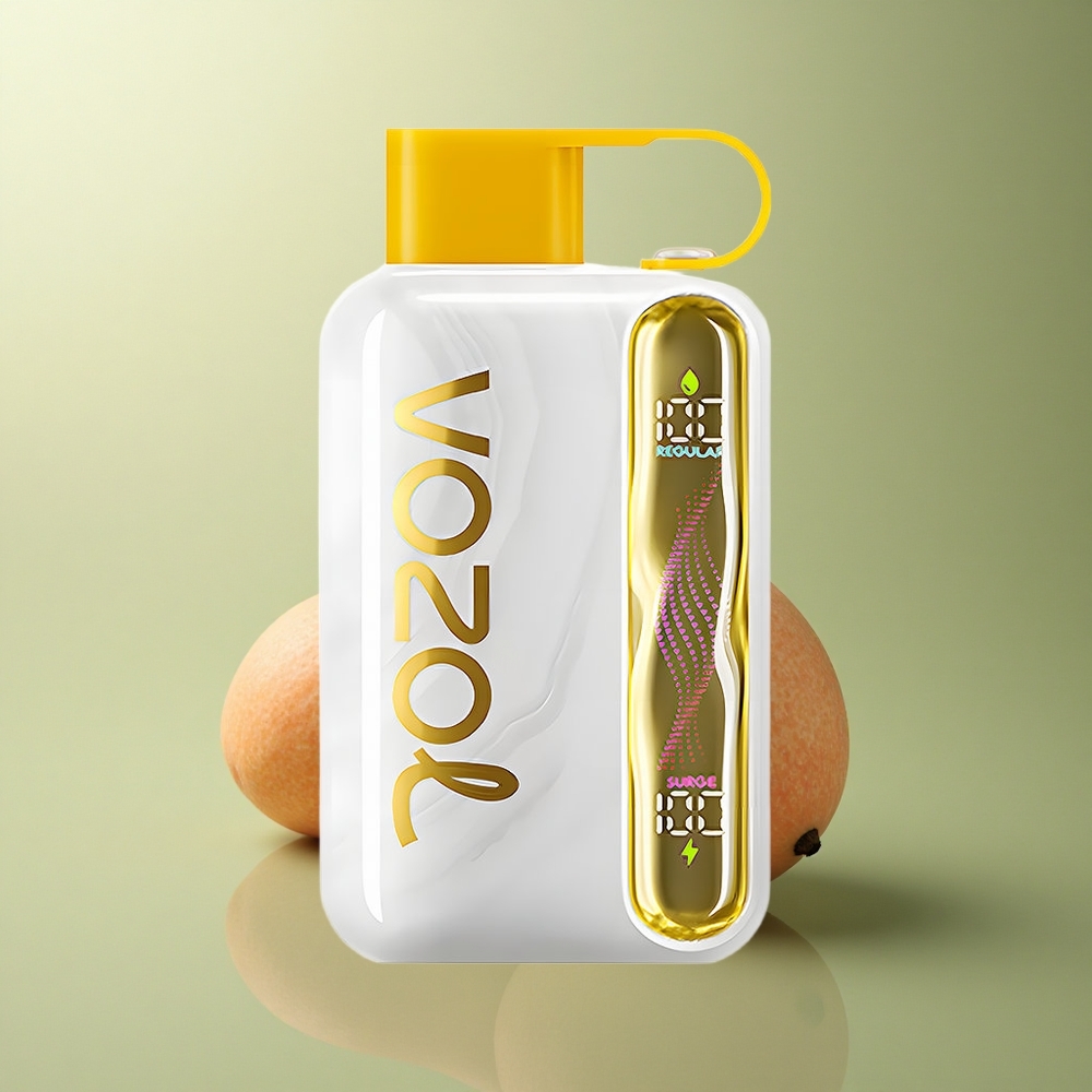 VOZOL STAR 40000 Puffs Glace à la Mangue 1000mAh 20/50mg/ml Nicotine