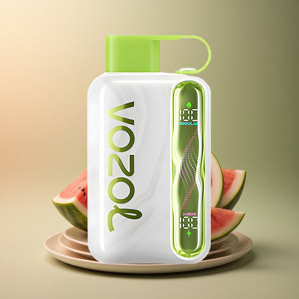 VOZOL STAR 40000 Puffs Pastèque Raisin Boysenberry 1000mAh Nicotine 20/50mg/ml
