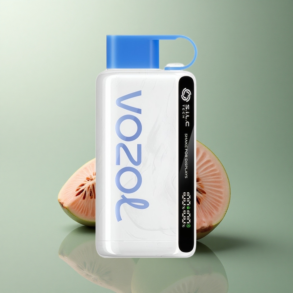 VOZOL STAR 9000/12000 Puffs Glace Bleue Framboise Recyclé 650mAh